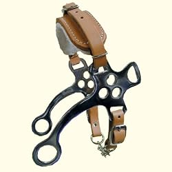 English Hackamore