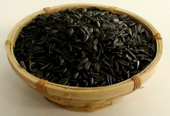 Organic Sprouting Seeds Baby Black Sunflower 1 lb by The Sprout House