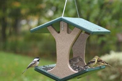 Recycled Hanging Fly-Thru Feeder