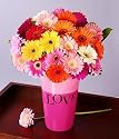 Assorted Gerbera Daisies