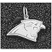 LogoArt Carolina Panthers Sterling Silver Team Logo Pendant