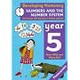 Developing Numeracy: Numbers And The Number System Year 5 Activities for the Daily Maths Lesson (Developings)