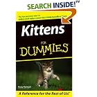 Click here to buy Kittens for Dummies by  Dusty Rainbolt.