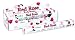 Kitchen & Housewares : Stamford Red Rose Incense Sticks