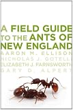 A Field Guide to the Ants of New England