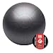 GoFit 75cm Professional Stability Ball
