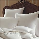 Mirage Polish Goose Down Pillow in White Size: Euro