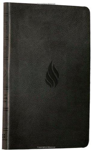 ESV Value Thinline Bible (TruTone - Midnight - Flame Design)