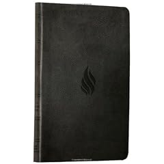 ESV Value Thinline Bible (TruTone, Midnight, Flame Design)