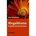 Ringelblume: Ein gro�es Geschenk der Natur