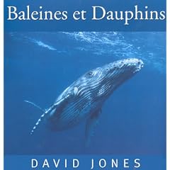 Baleines et dauphins