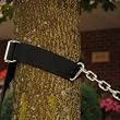 Algoma 7875 Hammock Hanging Kit
