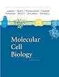 Molecular Cell Biology