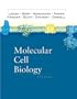 Molecular Cell Biology