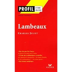 Lambeaux de Charles Juliet