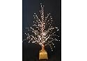 32 Inch Brown Fibre Optic Twig Tree with Gold Base