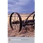 Tortilla Flat (Penguin Modern Classics) by John Steinbeck