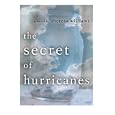 The Secret of Hurricanes by  Theresa Williams