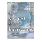 Click here to buy The Secret of Hurricanes by  Theresa Williams.
