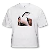 Chinstrap Penguin - Toddler T-Shirt (4T)