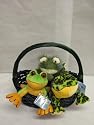 Webkinz Frog Gift Basket