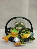 Webkinz Frog Gift Basket