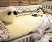Wool Mattress Pad