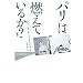 �p���͔R���Ă��邩?(��) (�n���J���E�m���t�B�N�V�����E�}�X�^�[�s�[�X)