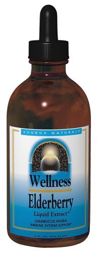 Source Naturals Wellness Elderberry Liquid Extract, 8 Ounce Glass Bottle