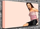 Preity Zinta Bollywood Canvas Art Canvas Print Picture print Size: (36