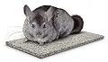 Super Pet Chinchilla Chin-Chiller Granite Stone