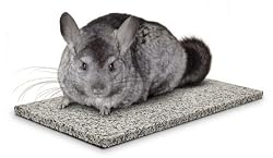 Super Pet Chinchilla Chin-Chiller Granite Stone