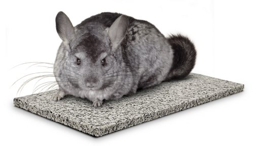 Super Pet Chinchilla Chin-Chiller Granite Stone