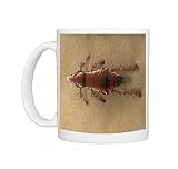 Photo Mugs of Lrds-55 Cat Flea from Ardea Wildlife Pets