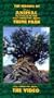 The Making of Disney's Animal kingdom