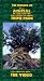 The Making of Disney's Animal kingdom