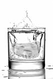 Frozen Smiles Denture Ice Cube Tray