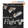 Birds in Flight: The Art and Science of How Birds Fly