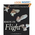 Birds in Flight: The Art and Science of How Birds Fly