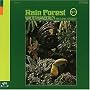 Rain Forest