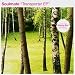 Transporter Ep