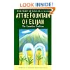 At the Fountain of Elijah: The Carmelite Tradition (Traditions of Christian Spirituality.)