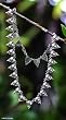 Necklace, 'Moonlit Rain' Necklace, 'Moonlit Rain'