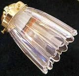 Ceiling Fan Clear Scallop Glass Side Shade