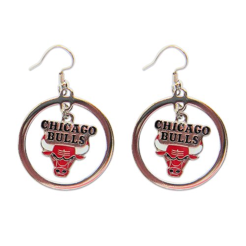 Chicago Bulls Hoop Logo Earring Set NBA Charm Gift