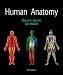 Human Anatomy