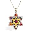 Star of David with Flower Necklace