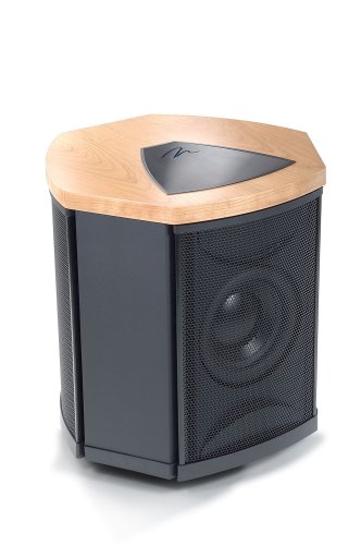 MartinLogan Depth i High-Performance Triple 8-Inch Servo-Control Subwoofer (Single, Maple)