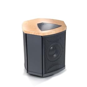 MartinLogan Depth i High-Performance Triple 8-Inch Servo-Control Subwoofer (Single, Maple) by