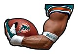 Miami Dolphins Arm Magnet